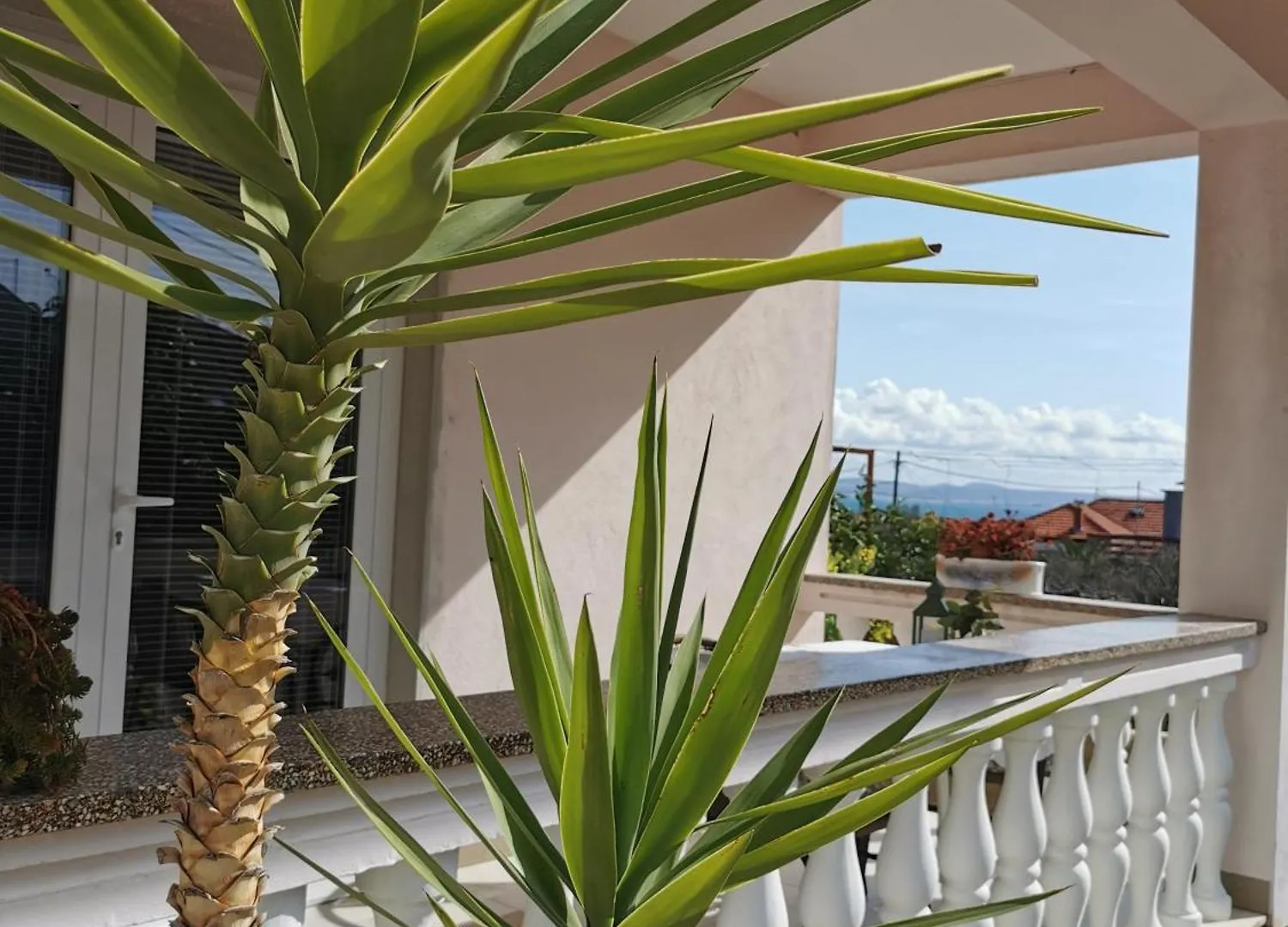 Apartman Borka Kali